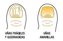 Imagen de HIDROTELIAL CREMA GEL UÑAS FRAGILES 15ML